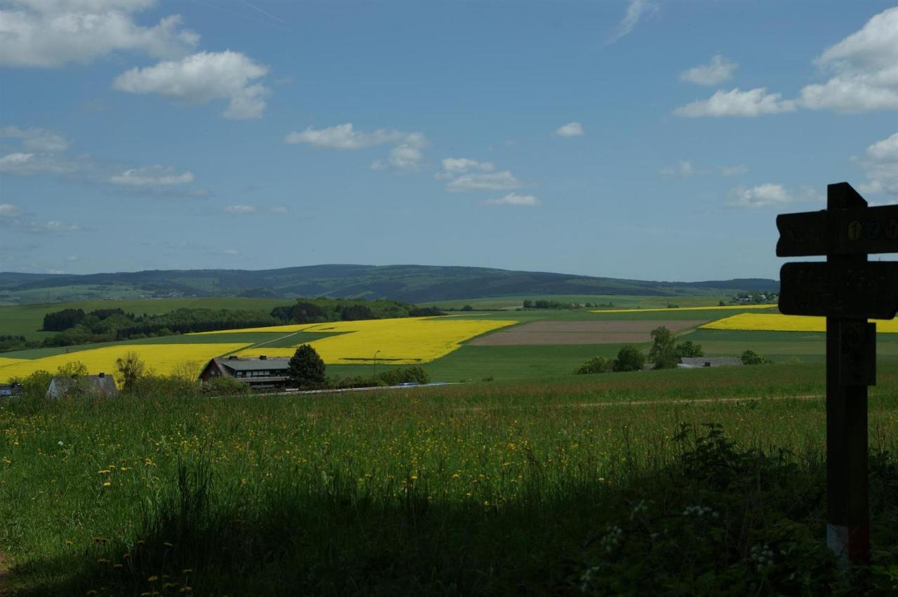 Klein'S Hochwaldscheune Pellingen Exteriér fotografie